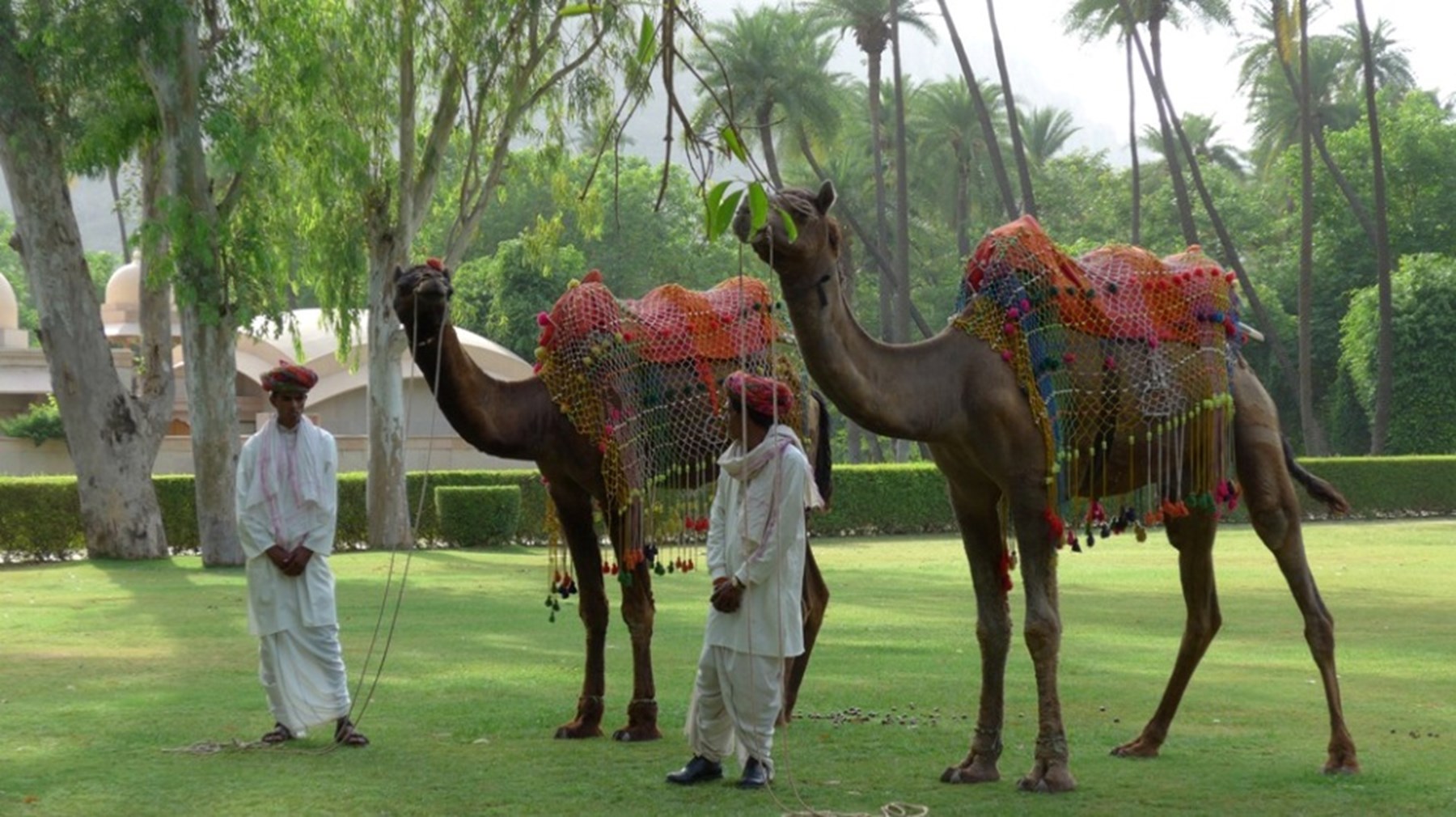 Mr Mrs Dormeuil China India 22 