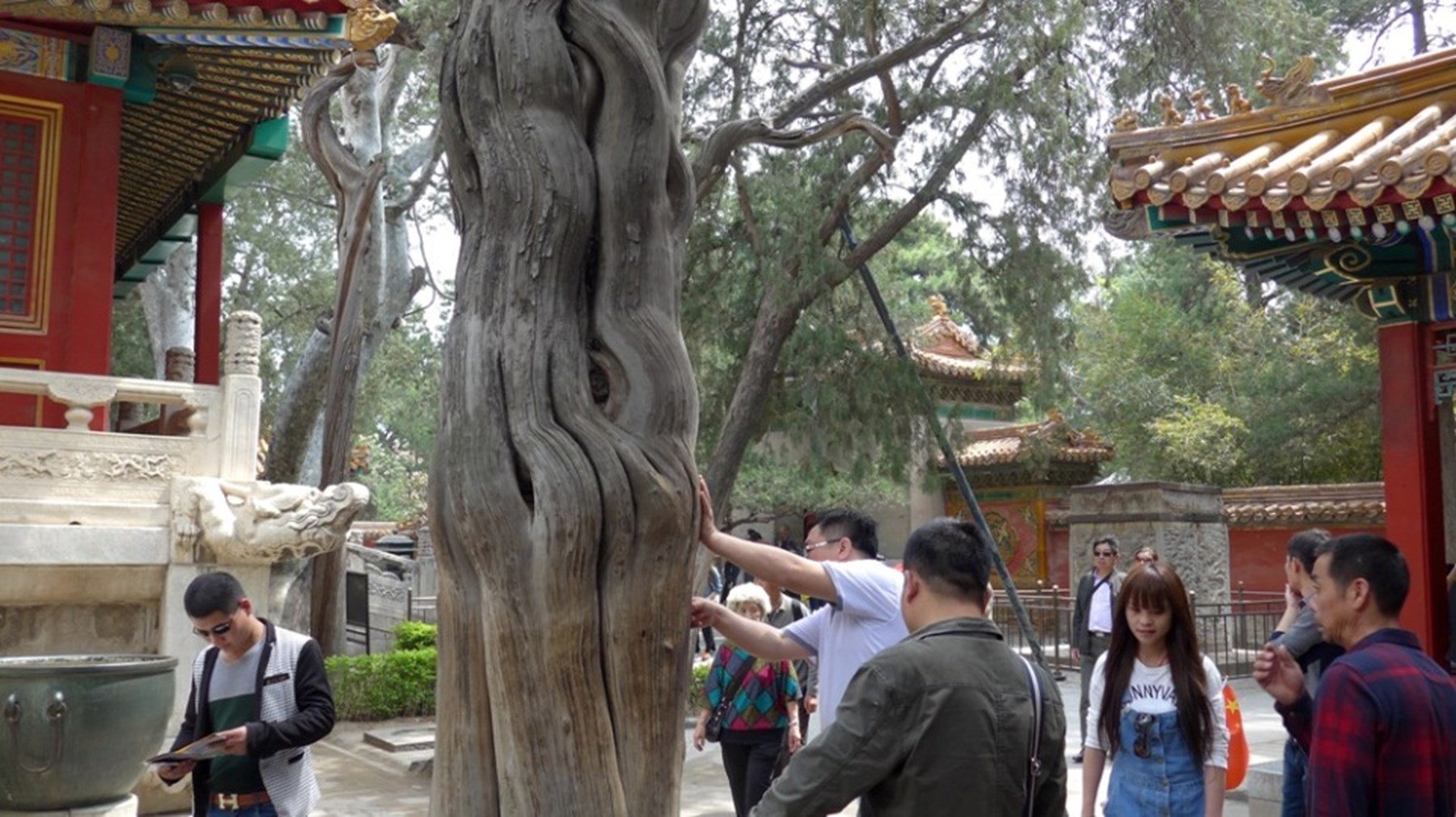 Mr Mrs Dormeuil China India 6 