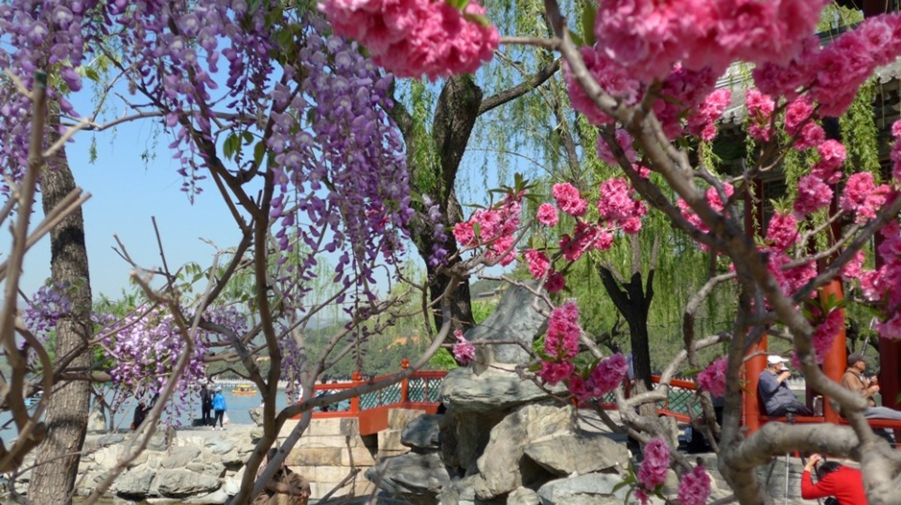 Mr Mrs Dormeuil China India 8 