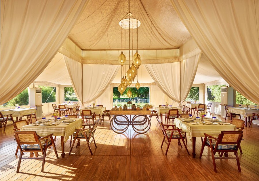 Chamba Camp Thiksey India 6 