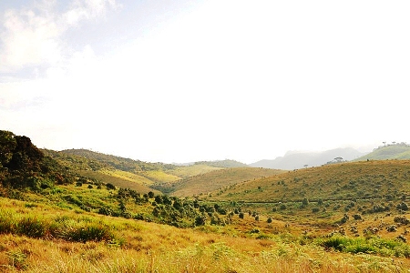Horton Plains Sri Lanka