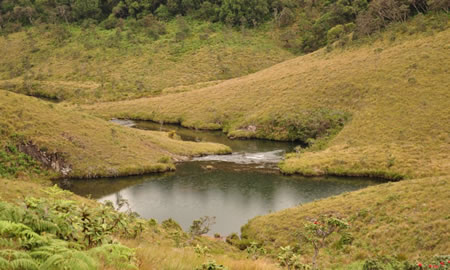 Horton Plains Sri Lanka 2 