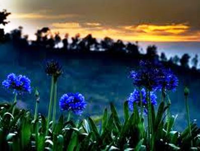 Hunas Falls Kandy Sri Lanka 1 