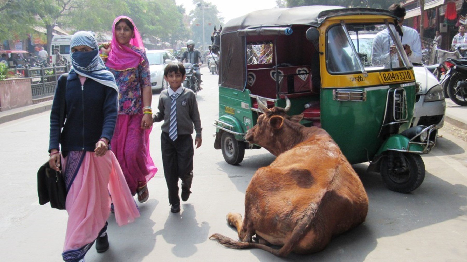 Mrmrs Porter North India 7 