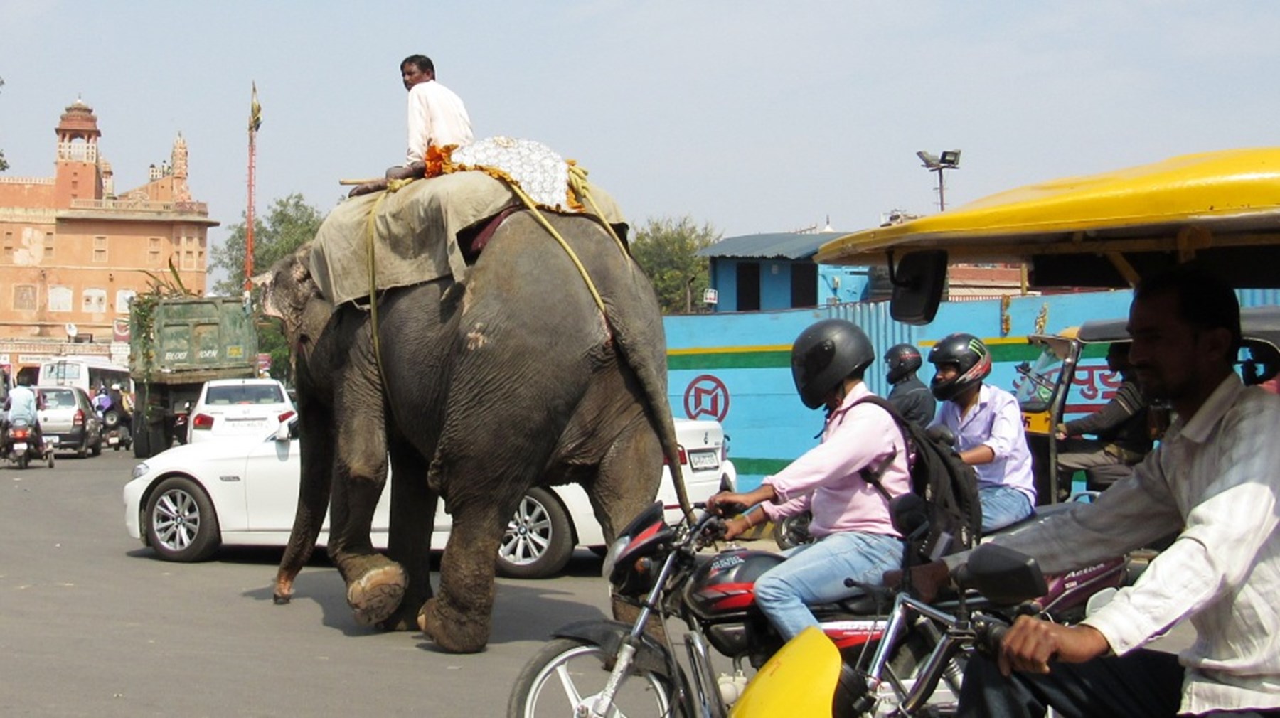 Mrmrs Porter North India 8 