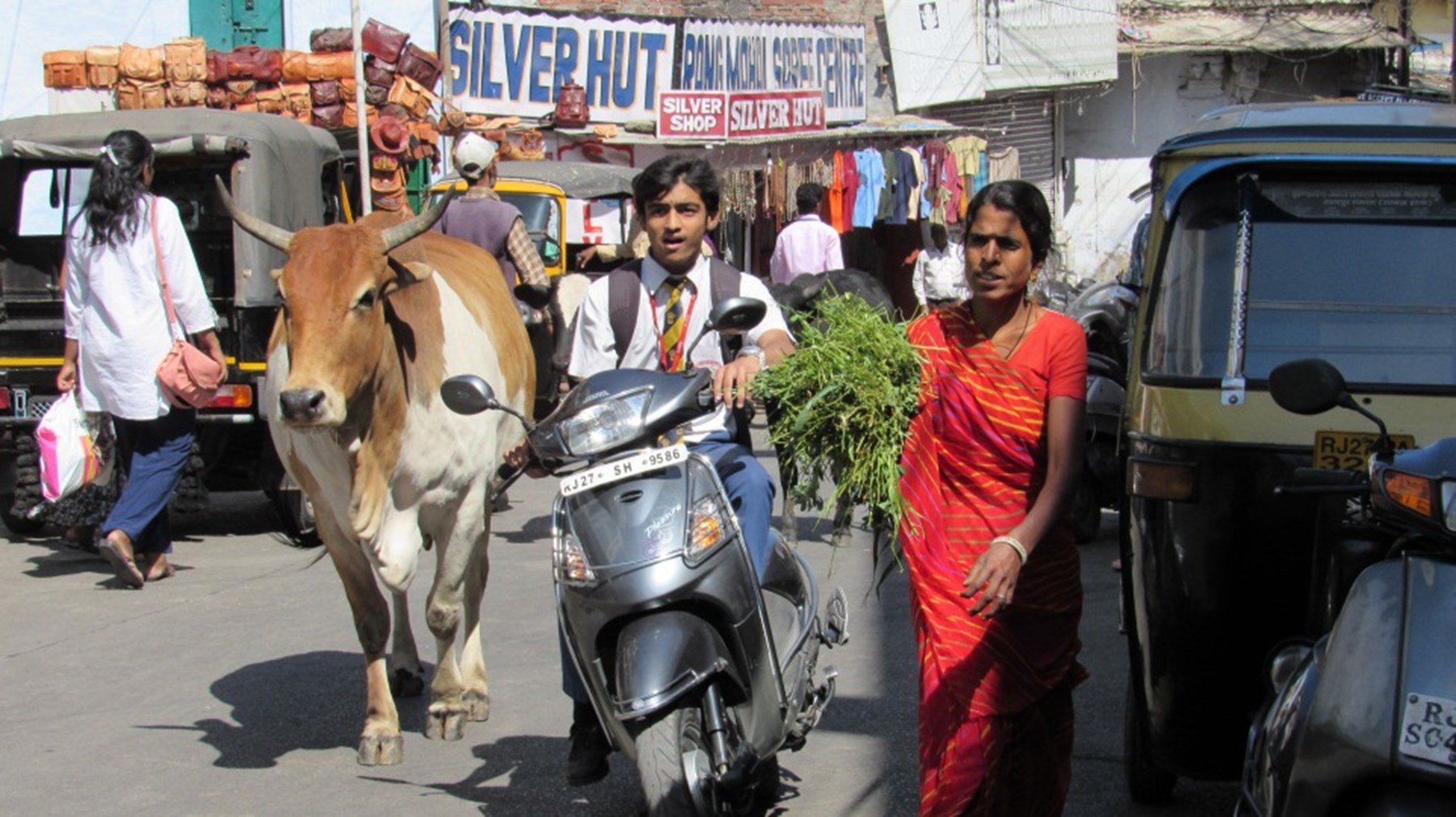 Mrmrs Porter North India 9 