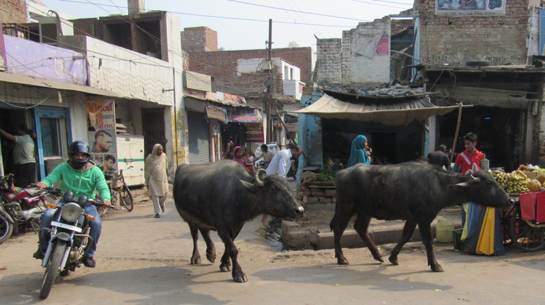 Mrmrs Porter North India 19 