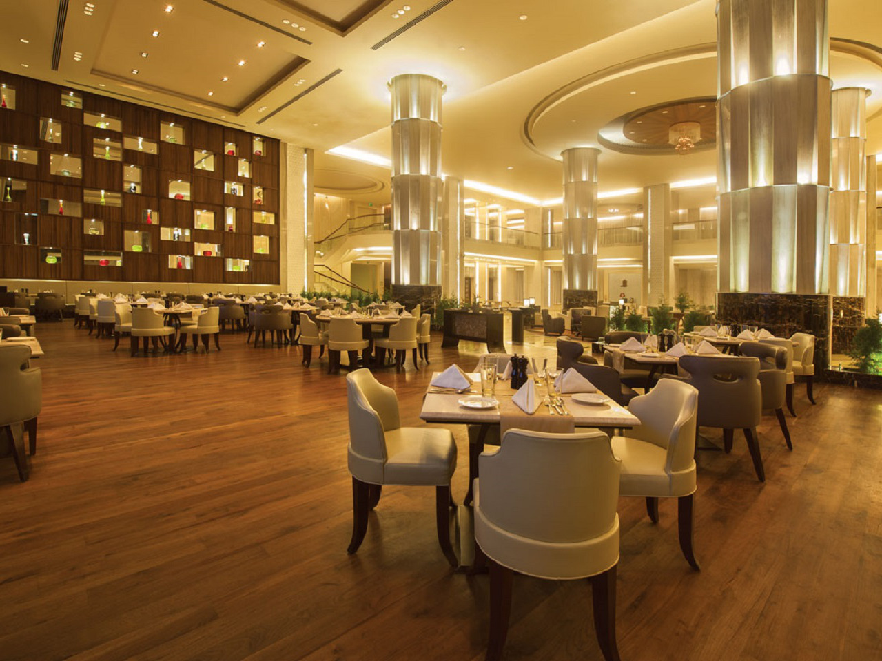 Radisson Blu Plaza Hotel Mysore South India 5 