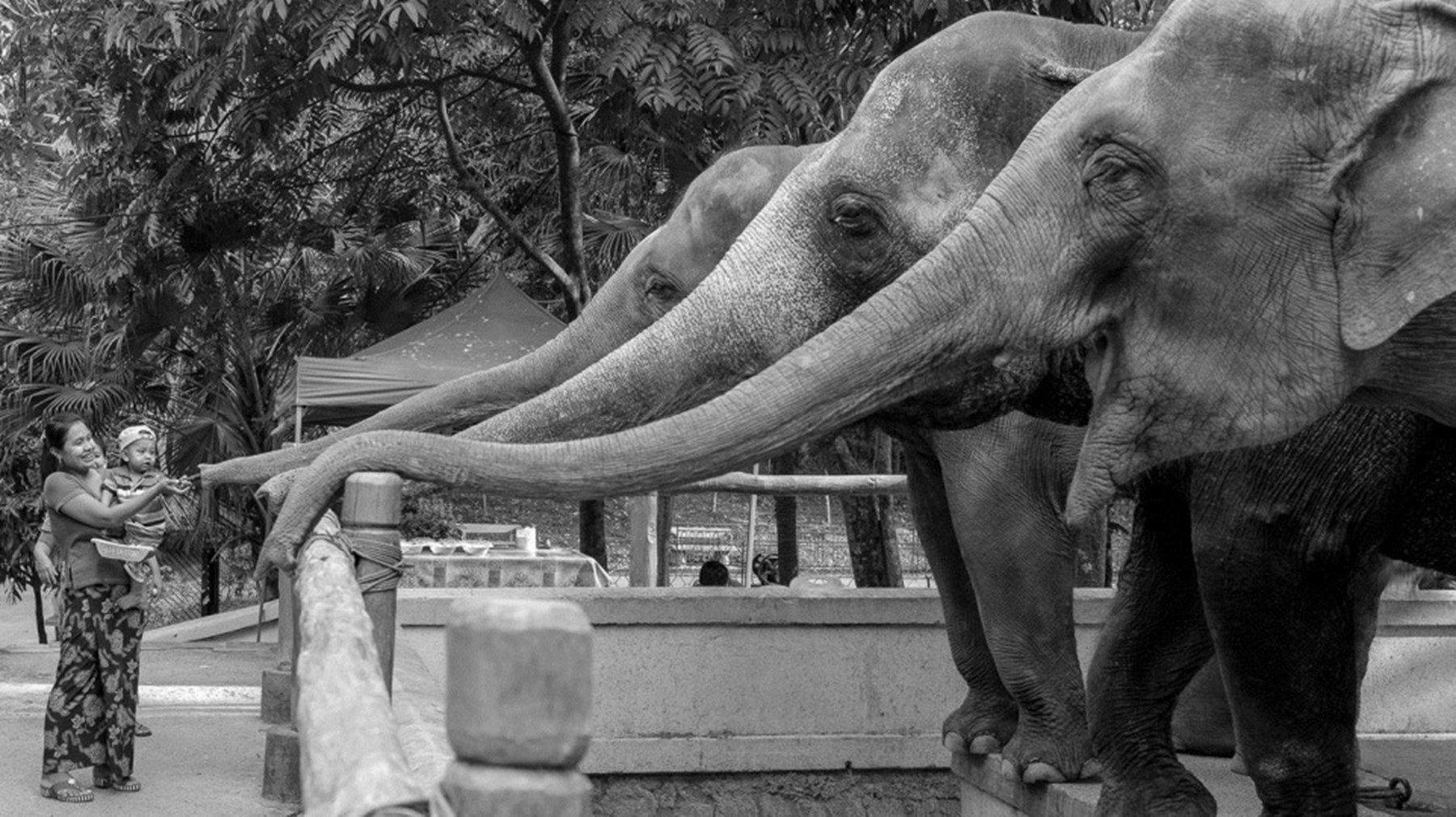 Gideon Bosker Burma Feb 2016 20 