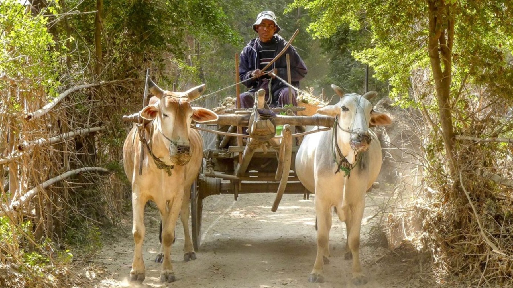 Gideon Bosker Burma Feb 2016 7 