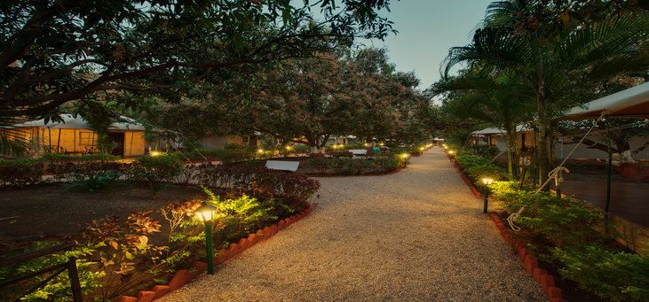 Lion Safari Camp Gujarat North India 2 