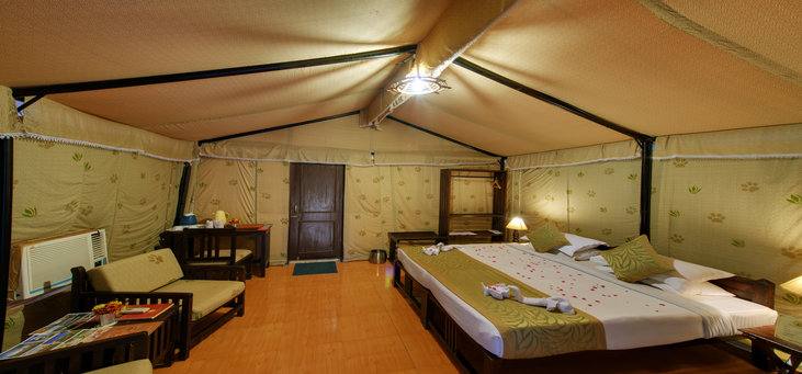 Lion Safari Camp Gujarat North India 3 