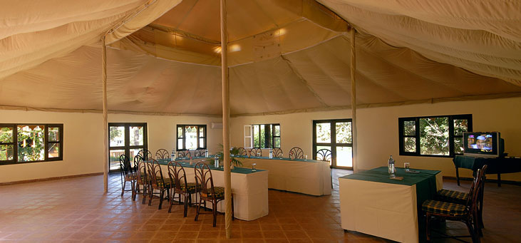 Lion Safari Camp Gujarat North India 4 