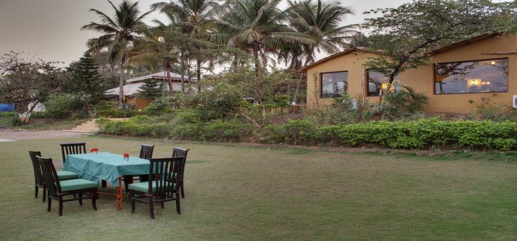 Lion Safari Camp Gujarat North India 5 