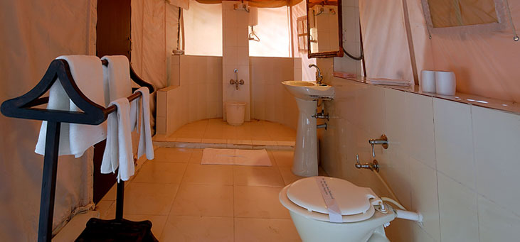 Lion Safari Camp Gujarat North India 6 