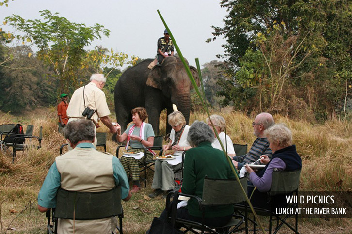 Diphlu River Lodge Kaziranga National Park Eastern India 15 