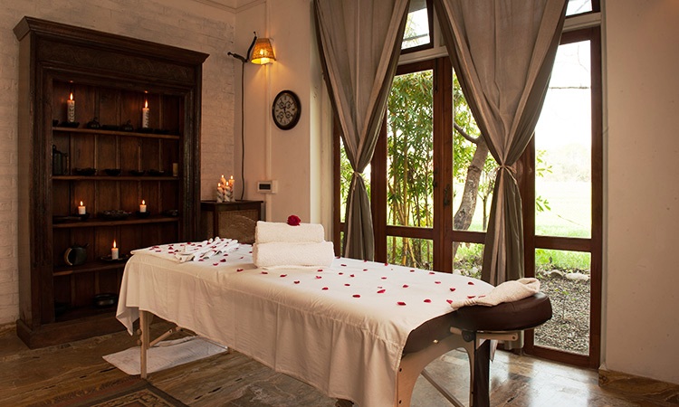 Jims Jungle Retreat Uttarakhand North India 15 