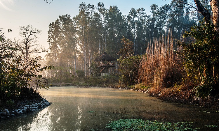 Jims Jungle Retreat Uttarakhand North India 18 