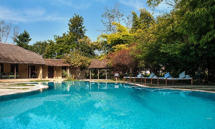 Jims Jungle Retreat Uttarakhand North India 19 