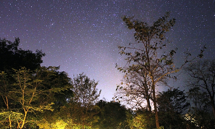 Jims Jungle Retreat Uttarakhand North India 2 