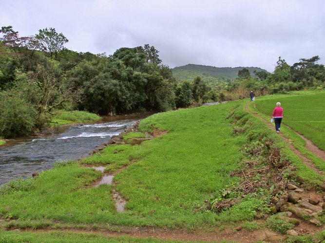 Wildernest Goa South India 3 