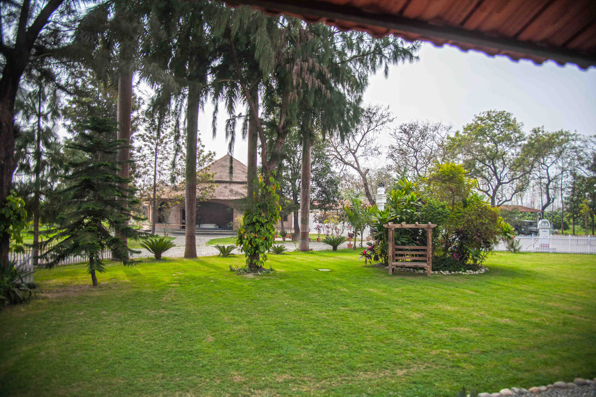 Tree Of Life Jaagir Lodge Dudhwa Tiger Reserve North India 9 