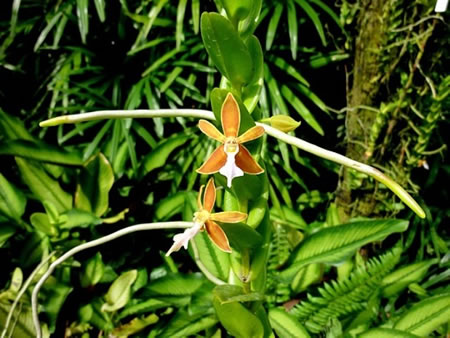 Jakarta Java Indonesia 2 