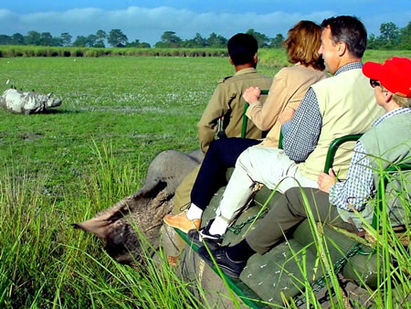 Kaziranga National Park North India 2 
