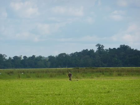 Kingfisher Eco Lodge Xe Pian National Park Laos 3 