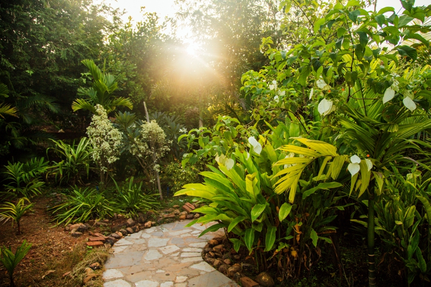 Summertime Goa South India 18 