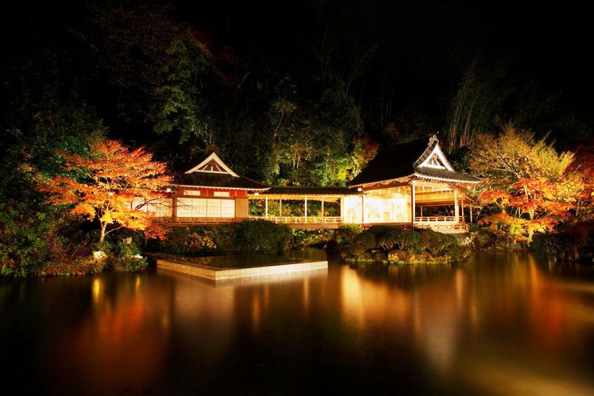 Asaba Izu Peninsula Japan 15 