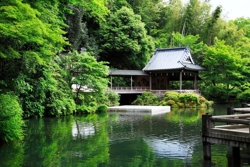 Asaba Izu Peninsula Japan 1 