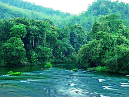 Kitulgala Sri Lanka 1 