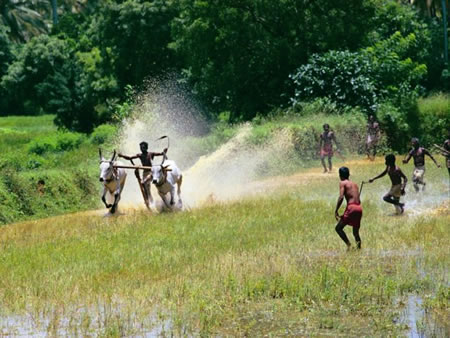 Kumarakom South India 1 