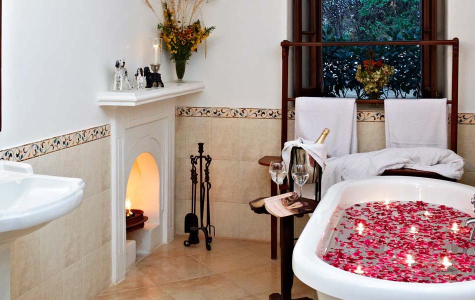 Shahpura Bagh Udaipur North India 17 