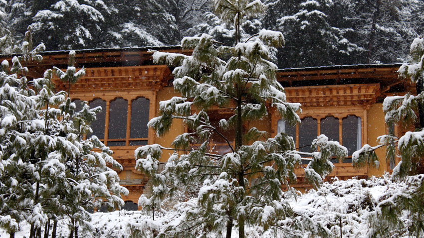 Nak Sel Paro Bhutan 9 