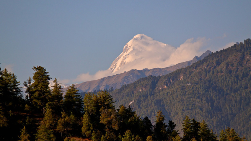 Nak Sel Paro Bhutan 4 