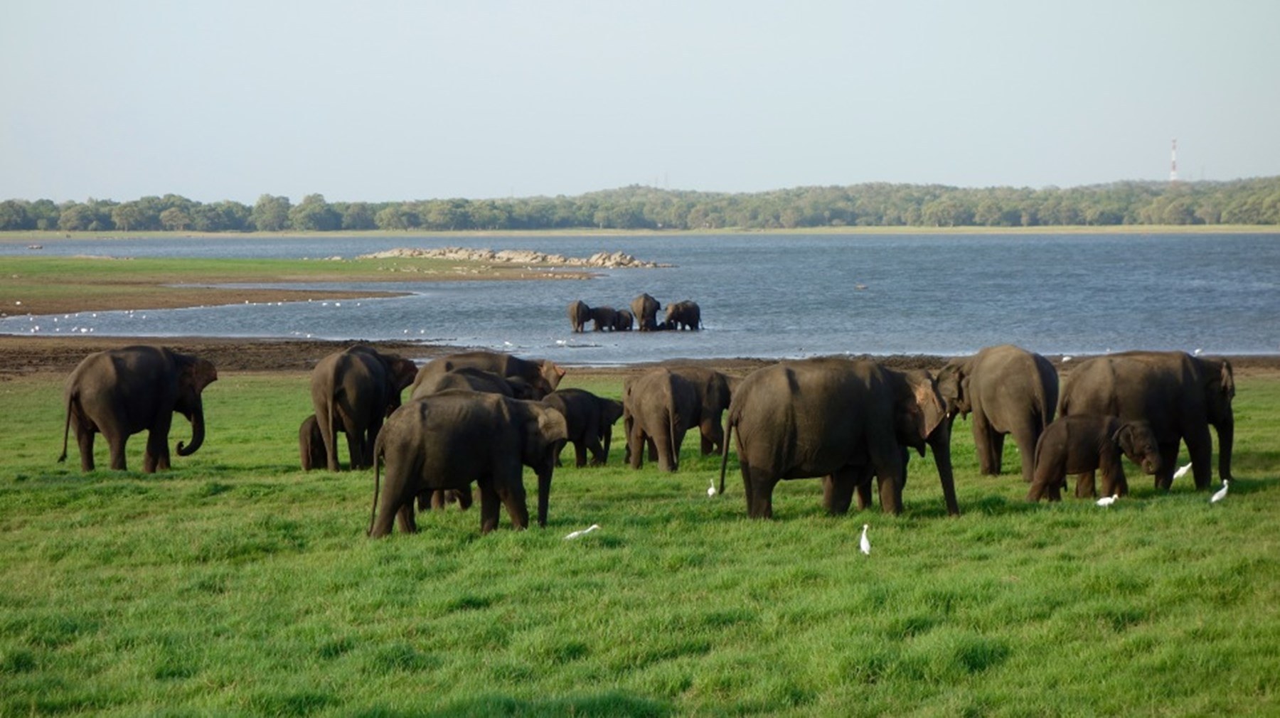 By The Side Of A Road 1