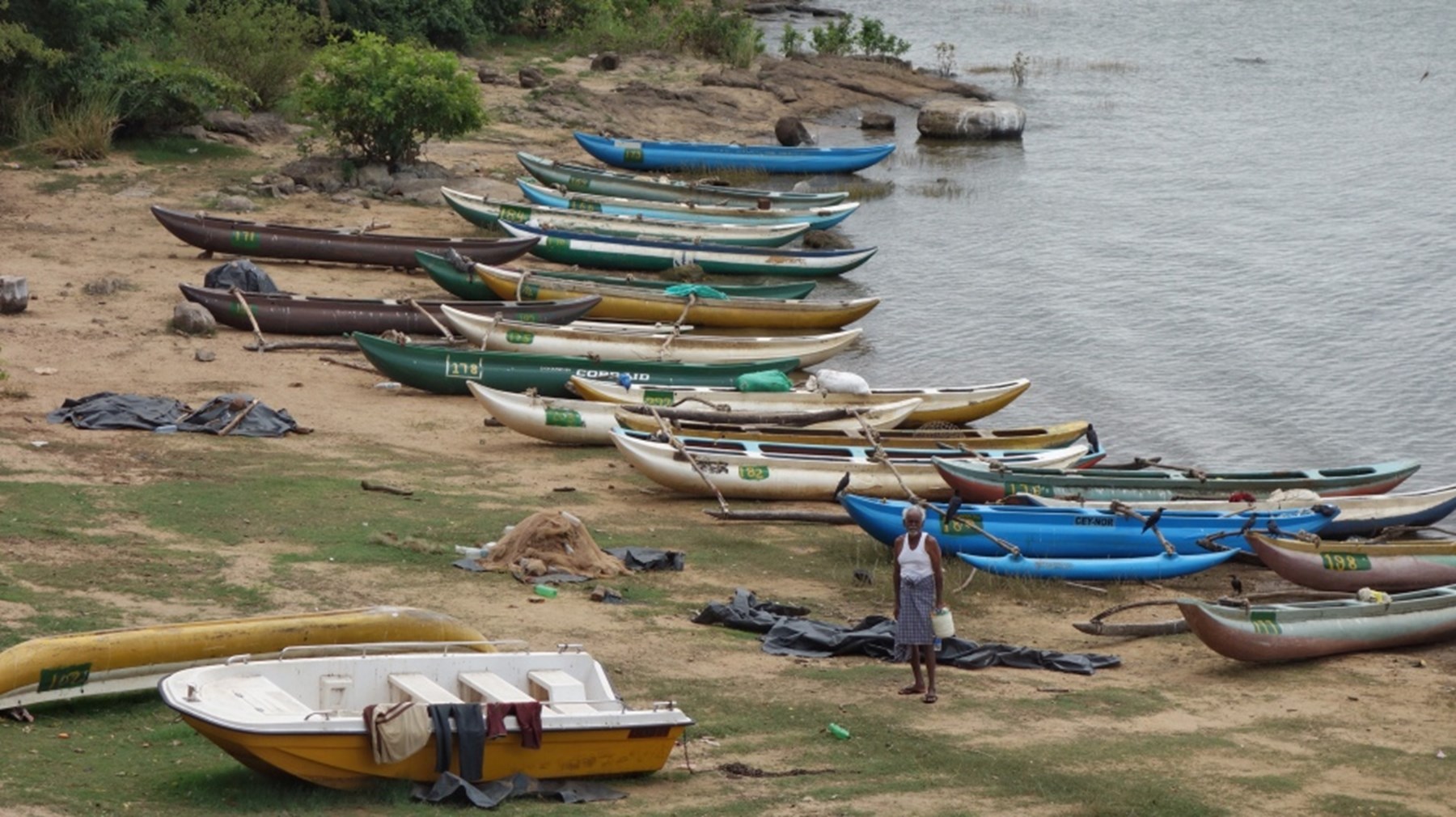 By The Side Of A Road 2