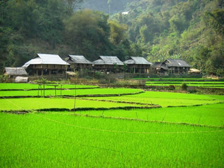 Mai Chau Vietnam 1 