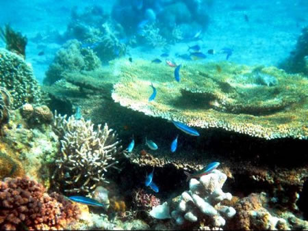 Moyo Island Indonesia 2 