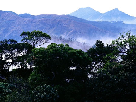 Pallakad South India 1 