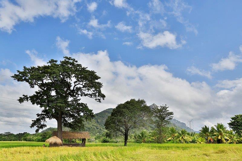 Kalundewa Retreat Dambulla Sri Lanka 10