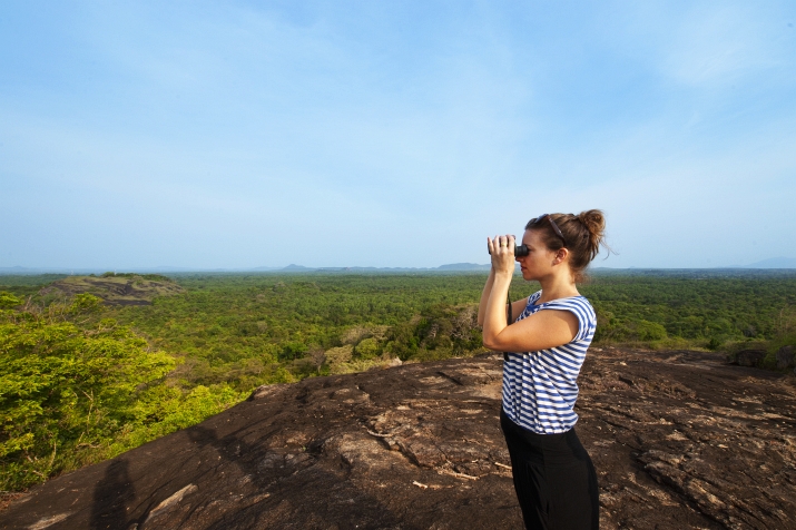 Wild Grass Sigiriya Sri Lanka 24