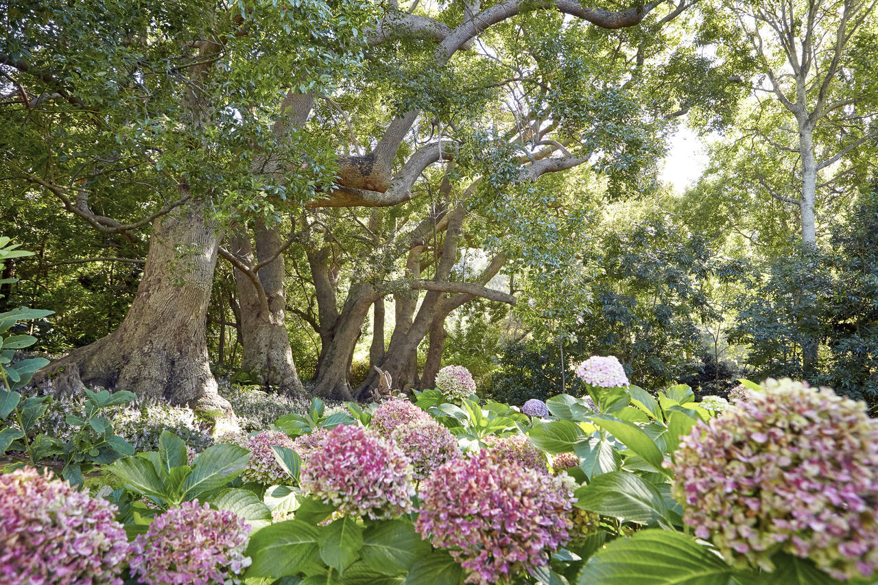 The Cellars Hohenort Cape Town South Africa 13