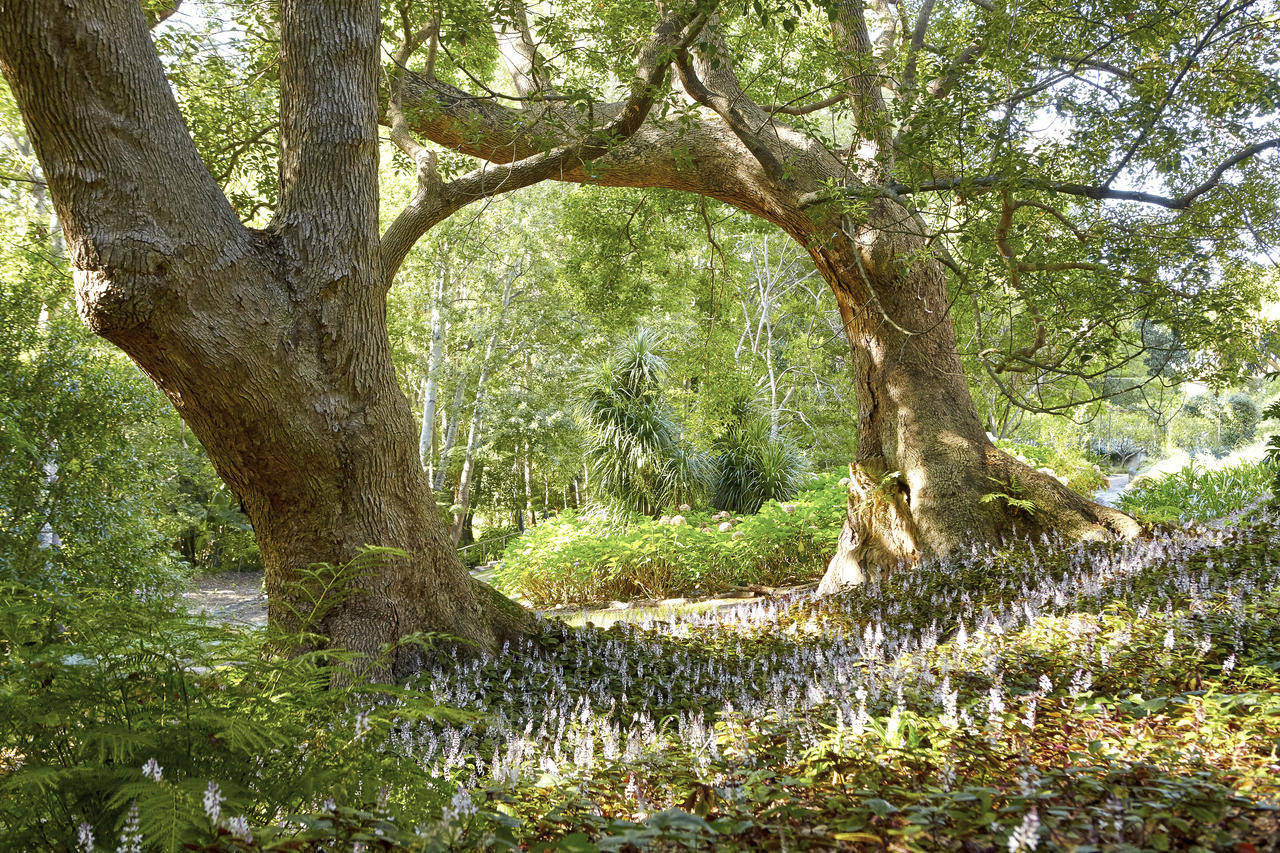 The Cellars Hohenort Cape Town South Africa 12