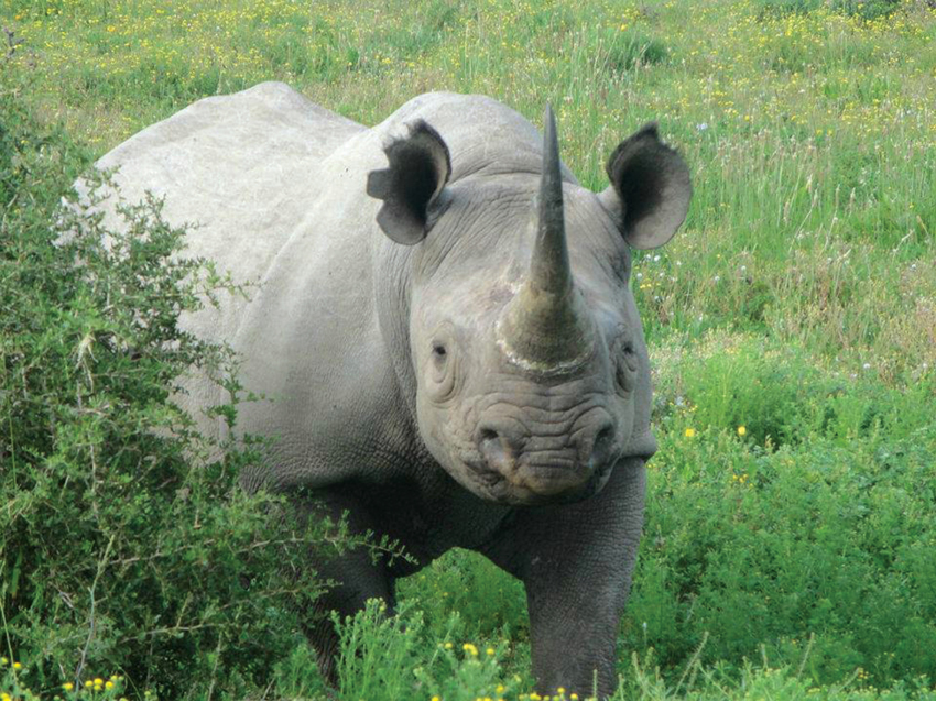 Kartiega Settlers Drift Eastern Cape South Africa 12