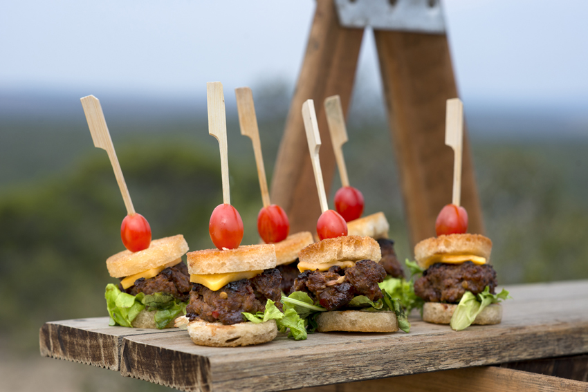 Kwandwe Private Game Reserve Eastern Cape South Africa 66