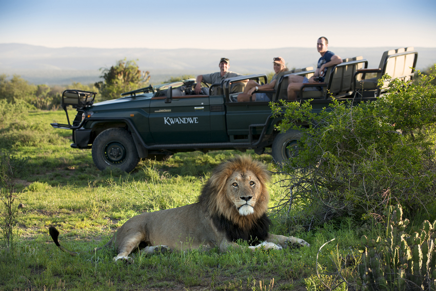 Kwandwe Private Game Reserve Eastern Cape South Africa 3