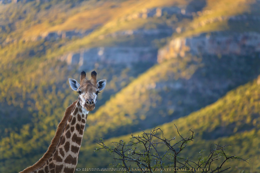 Samara Eastern Cape South Africa 32